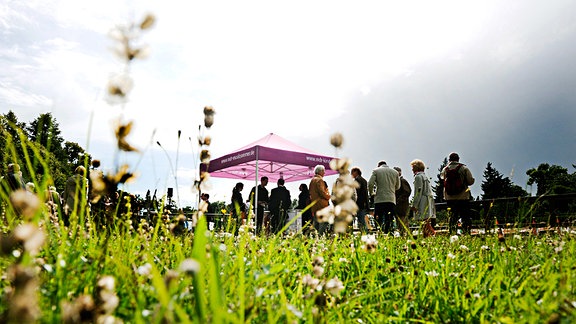 Konzert des MDR-Musiksommers im Wörlitzer Park