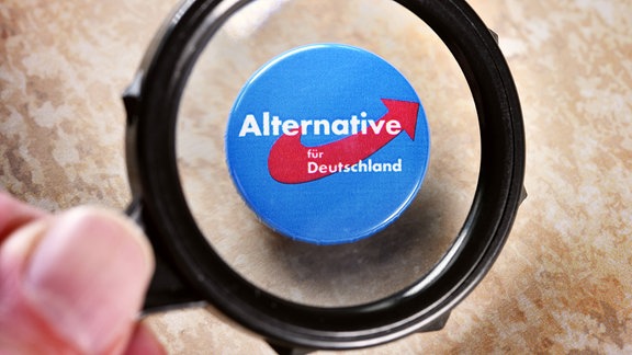 AfD Sachsen-Anhalt