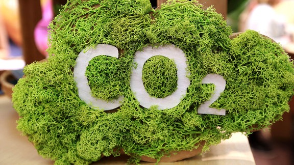 CO2