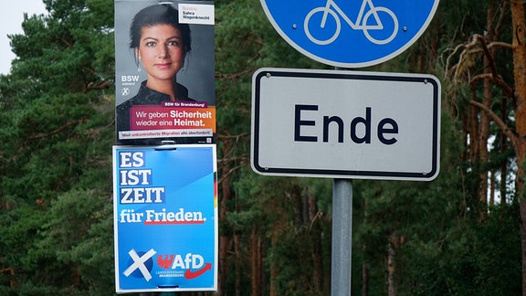 Wahlplakate der AFD und des BSW hängen, davor ein Verkehrsschildt: Radweg + Ende