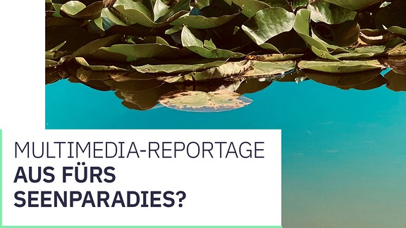 Multimedia-Reportage: Aus fürs Seenparadies? 