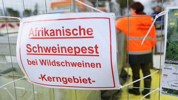 Ein Schild mit der Aufschrift «Afrikanische Schweinepest» hängt an einem Zaun.