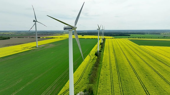 Windräder auf einem Feld.