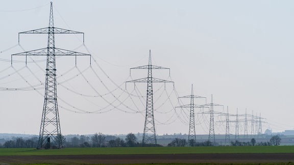 Eine Stromtrasse zieht sich durch die Landschaft.