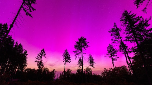 Polarlichter erscheinen am nächtlichen Himmel über dem Pferdskopf bei Treisberg im hessischen Hochtaunuskreis. 