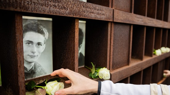 Rosen werden in das Fenster des Gedenkens für die Todesopfer der Berliner Mauer auf dem früheren Todesstreifen an der Bernauer Straße gelegt.