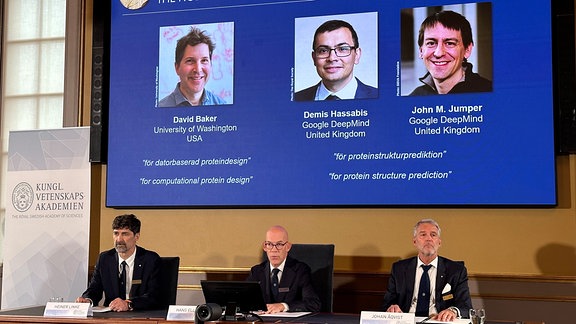 Auf der Leinwand während der Pressekonferenz zur Bekanntgabe des Chemie-Nobelpreises 2024 werden Bilder von David Baker, Demis Hassabis und John M. Jumper gezeigt.