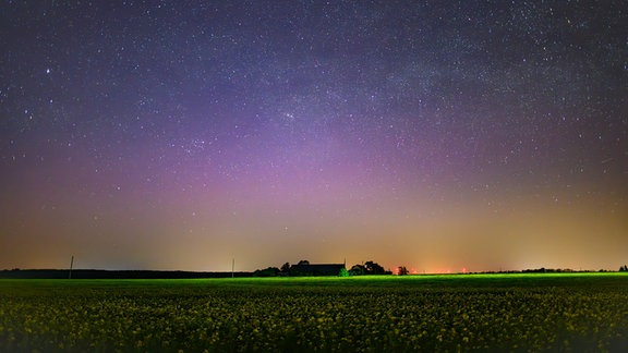 Lila leuchtet ein Polarlicht am Nachthimmel im Landkreis Märkisch-Oderland in Ostbrandenburg. 