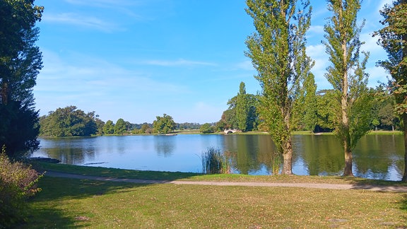 Blick auf einen großen Teich in einer Aue, der von einzelnen hohen Bäumen umstanden ist.