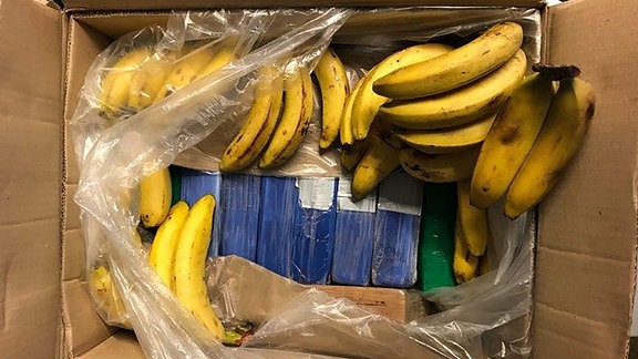 Das von der Polizei Hagen zur Verfügung gestellte Handout zeigt in einem Karton zwischen Bananen verstecktes Kokain. Mitarbeiter der Tafel in Attendorn (Nordrhein-Westfalen) haben in Bananenkisten rund 14 Kilogramm Kokain gefunden. Das Obst war von einem Supermarkt im Sauerland gespendet worden. Woher die Drogen stammen und für wen sie bestimmt waren, war laut Polizei und Staatsanwaltschaft noch unklar. 