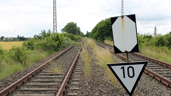 Rostige Gleise, umgeben von Bäumen und Sträuchern, führen zum Horizont, im Vordergrund ein Schild, das auf Tempo 100 hinweist