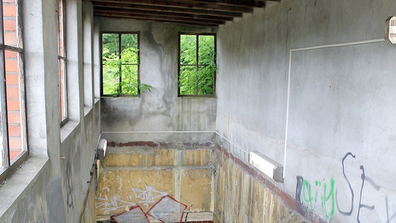 Blick die Treppe hinab in einen Personentunnel, durch die Fenster ragen Pflanzen.