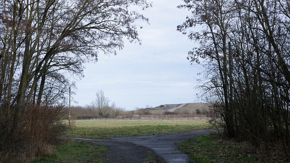 Zwischen Bäumen führt ein Weg entlang, dahinter sind ein Berg und Bäume