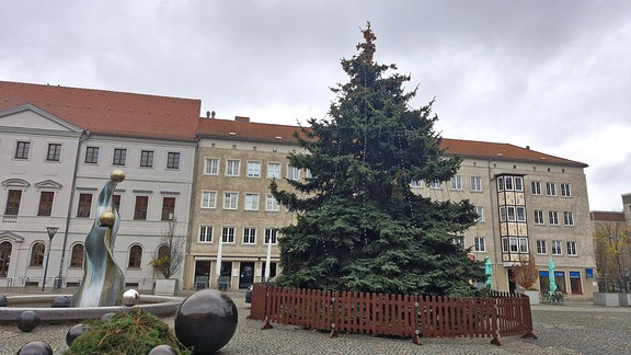 Ein Weihnachtsbaum auf einem Marktplatz