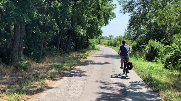 Ein Fahrradfahrer auf einem Schotterradweg zwischen Bäumen.