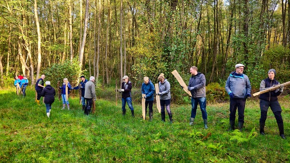 Arbeitseinsatz in der Dübener Heide: Menschen rammen Holzpfähle in ein Moor.