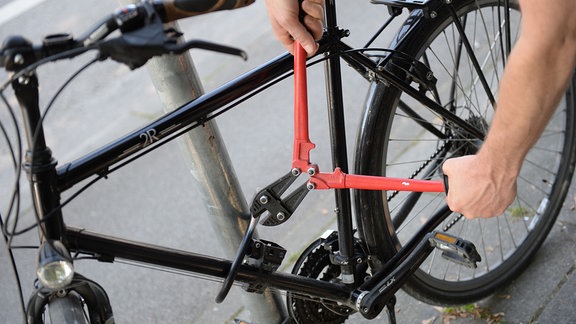 Ein Mann versucht mit einem Bolzenschneider ein Fahrradschloss aufzubrechen (gestellte Szene).