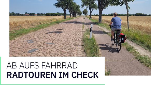 Ein Mann fährt mit einem Fahrrad auf einem Fahrradweg neben einer gepflasterten Straße.