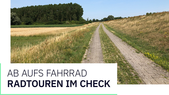 Ein gepflasterter Teil des Elbe-Radwegs auf dem Elbdeich.