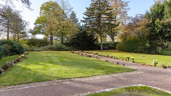 Grüne Wiese auf einem Friedhof