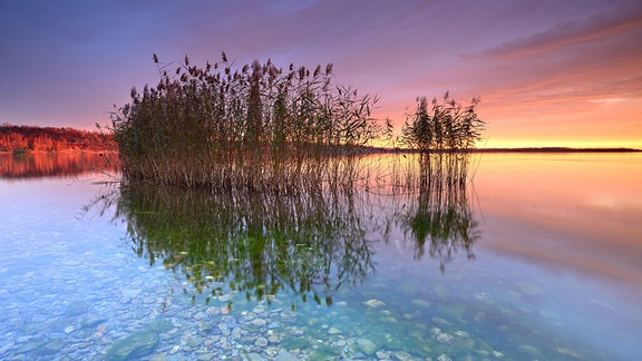 Stiller See bei Sonnenaufgang