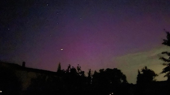 violette Polarlichter am Nachthimmel