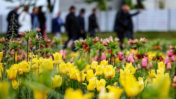 Die ersten Gäste gehen nach der Eröffnung über die Landesgartenschau Bad Dürrenberg 2024. 