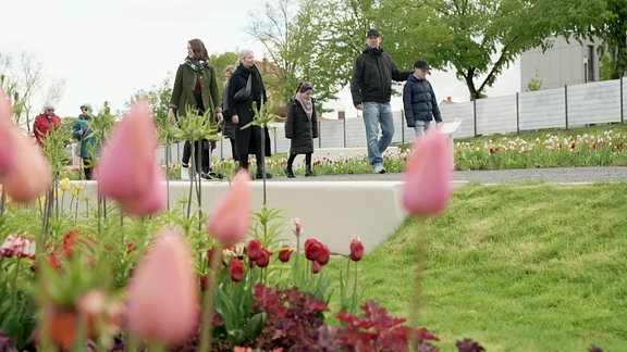 Rote Tulpen stehen bei der Landesgartenschau am Wegesrand