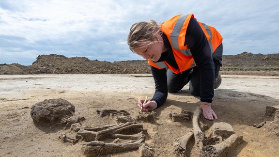 Auf einem Feld bei Nauendorf arbeitet Melanie Weber-Walpuski an einem Skelett.