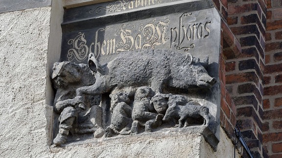 Antisemitisches Relief, sogenannte Judensau-Skulptur an der evangelischen Stadtkirche in Wittenberg, an der einst Martin Luther predigte