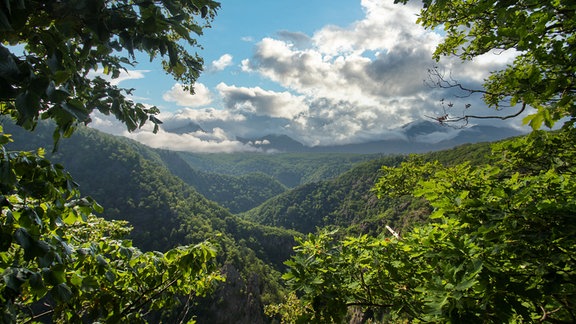 Bodetal im Harz