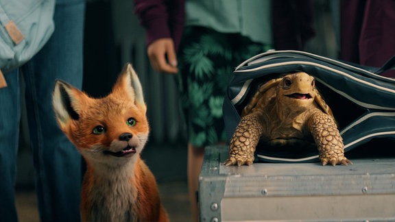 Ein Fuchs und eine Schildkröte in einer Szene des Films "Die Schule der magischen Tiere 2"