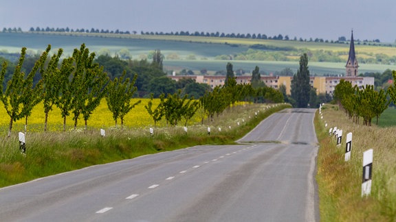 Landstraße nach Gatersleben in Sachsen Anhalt