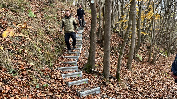 Der Harzer Hexenstieg hat Stufen bekommen - sogenannte Alpineisen.