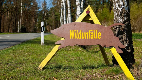 Hinweisschild mit dem Schriftzug "Wildunfälle" an einer Straße