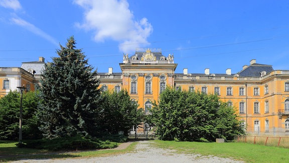 Das Schloss Dornburg in Dornburg, Ein Schloss mit Bäumen davor und einem ungepflegten Garten.