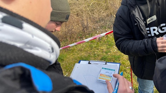 Nach dem PH-wert des Bodens richtet sich, welche Pflanzen in die Erde kommen