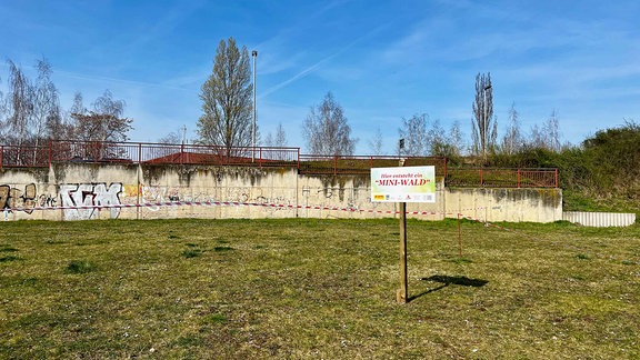 Hier soll der Mini-Wald in Aschersleben entstehen