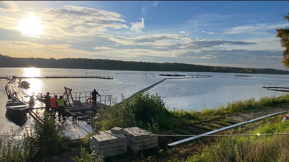 Menschen stehen am See und schauen auf eine Photovoltaikanlage.