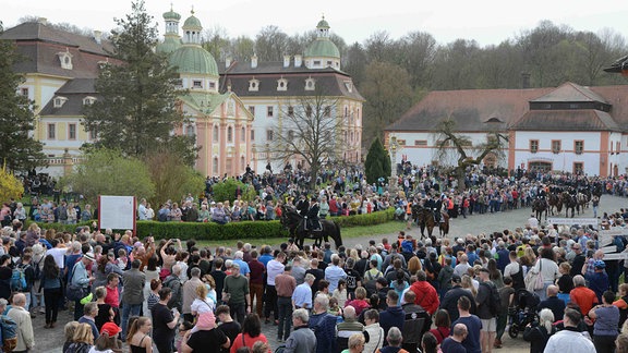 Saatreiter Ostritz im Kloster St. Marienthal