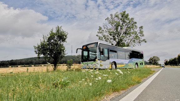 Ein Bus fährt über eine Landstraße 