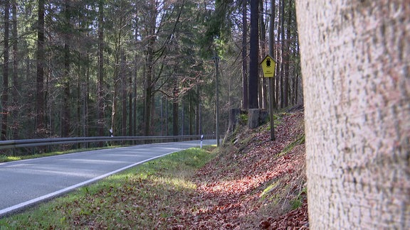 Eine Waldstraße mit einem Schild "Naturschutzgebiet".