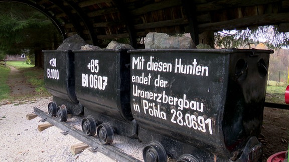 Drei Hunte mit der Aufschrift "Mit diesen Hunten endete der Uranerzbergbau in Pöhla  - 28.06.91"