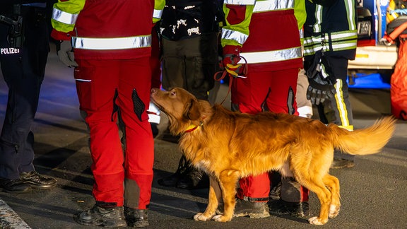 Einsatzkräfte mit Suchhund