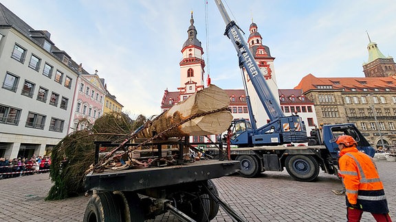 Ein Weihnachtsbaum wird auf dem Markt in Chemnitz mit einem Kran aufgestellt. 