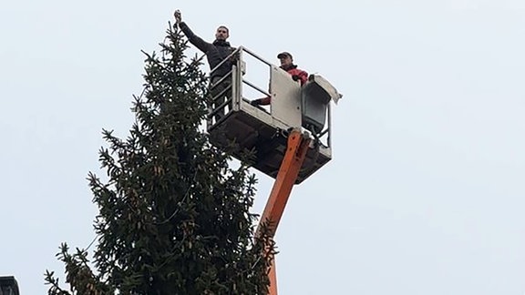 Zwei Männer werden von einem Kran bis an die Spitze eines Weihnachtsbaums gefahren. 