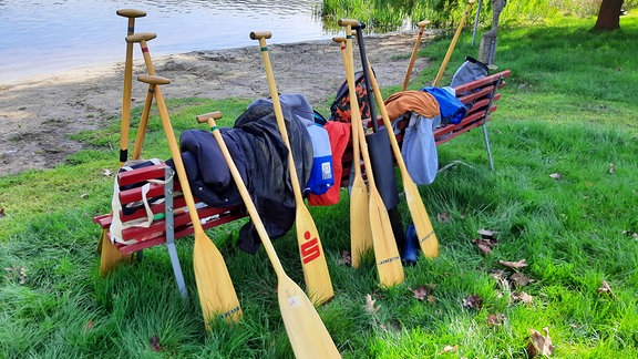 An einer Bank am Ufer der Talsperre Kriebstein lehnen viele Holzpaddel.