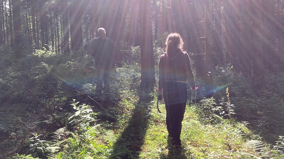 Aktivurlaub beim Bergwald im Osterzgebirge