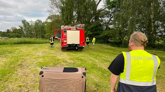 Menschen und Feuerwehrfahrzeug auf einer Wiese