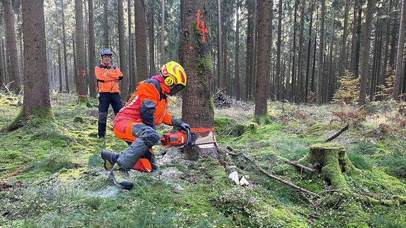 Ein Mann fällt einen Baum